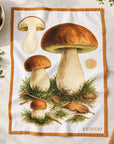 Set 4 strofinacci autunno orto botanica