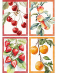 Set 4 strofinacci Fruits