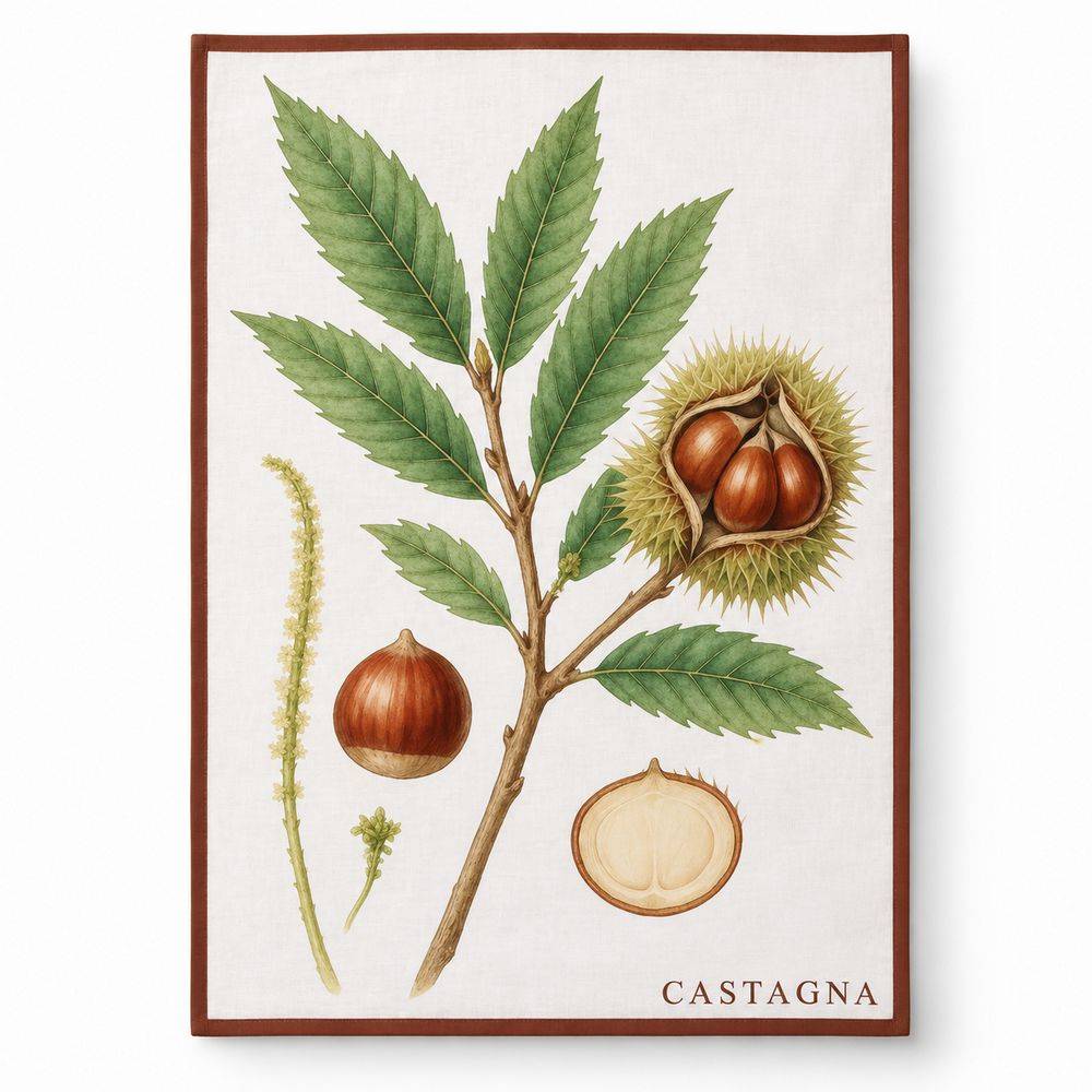 Set 4 strofinacci autunno orto botanica