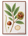 Set 4 strofinacci autunno orto botanica
