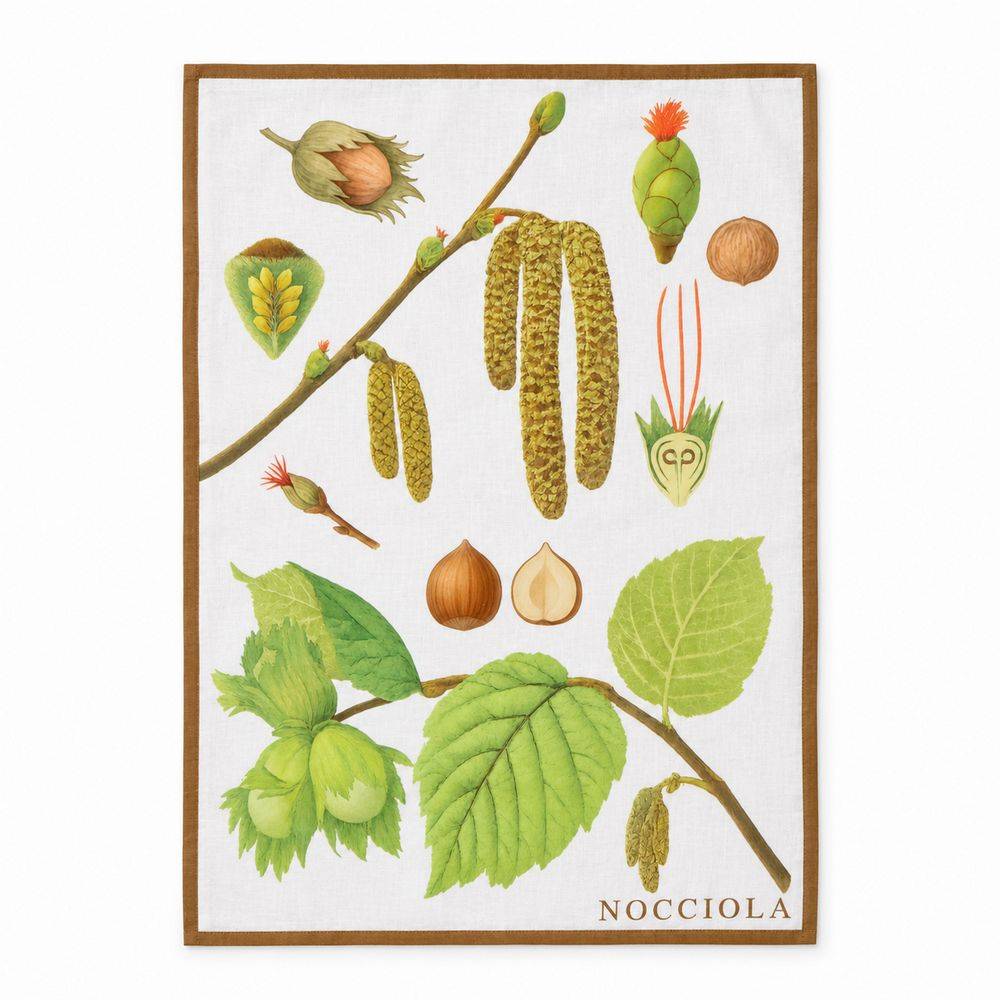 Set 4 strofinacci autunno orto botanica