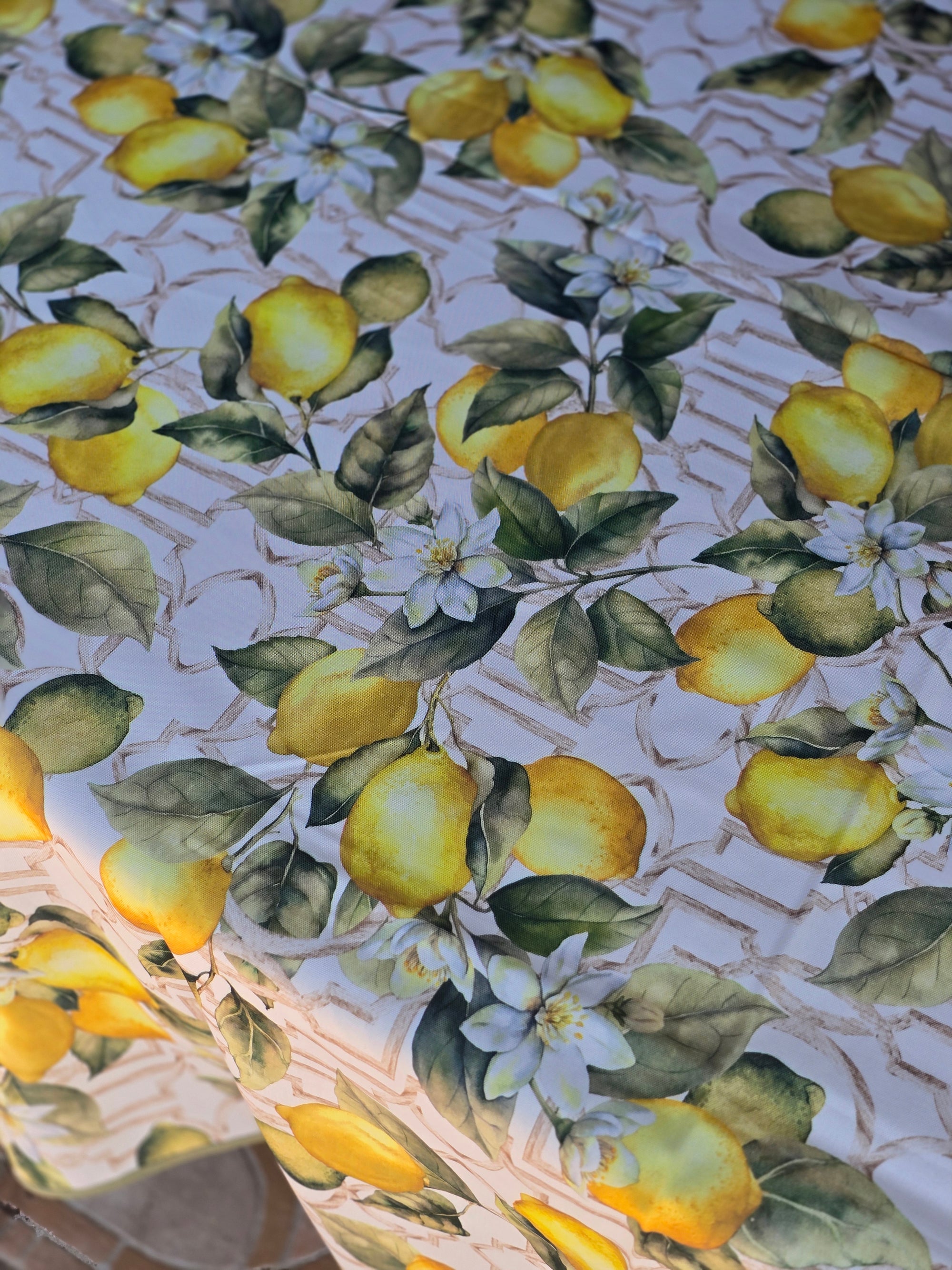 Tovaglia Antimacchia Costiera limoni