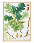 Set 4 strofinacci autunno orto botanica